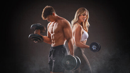 Gym Fitness
